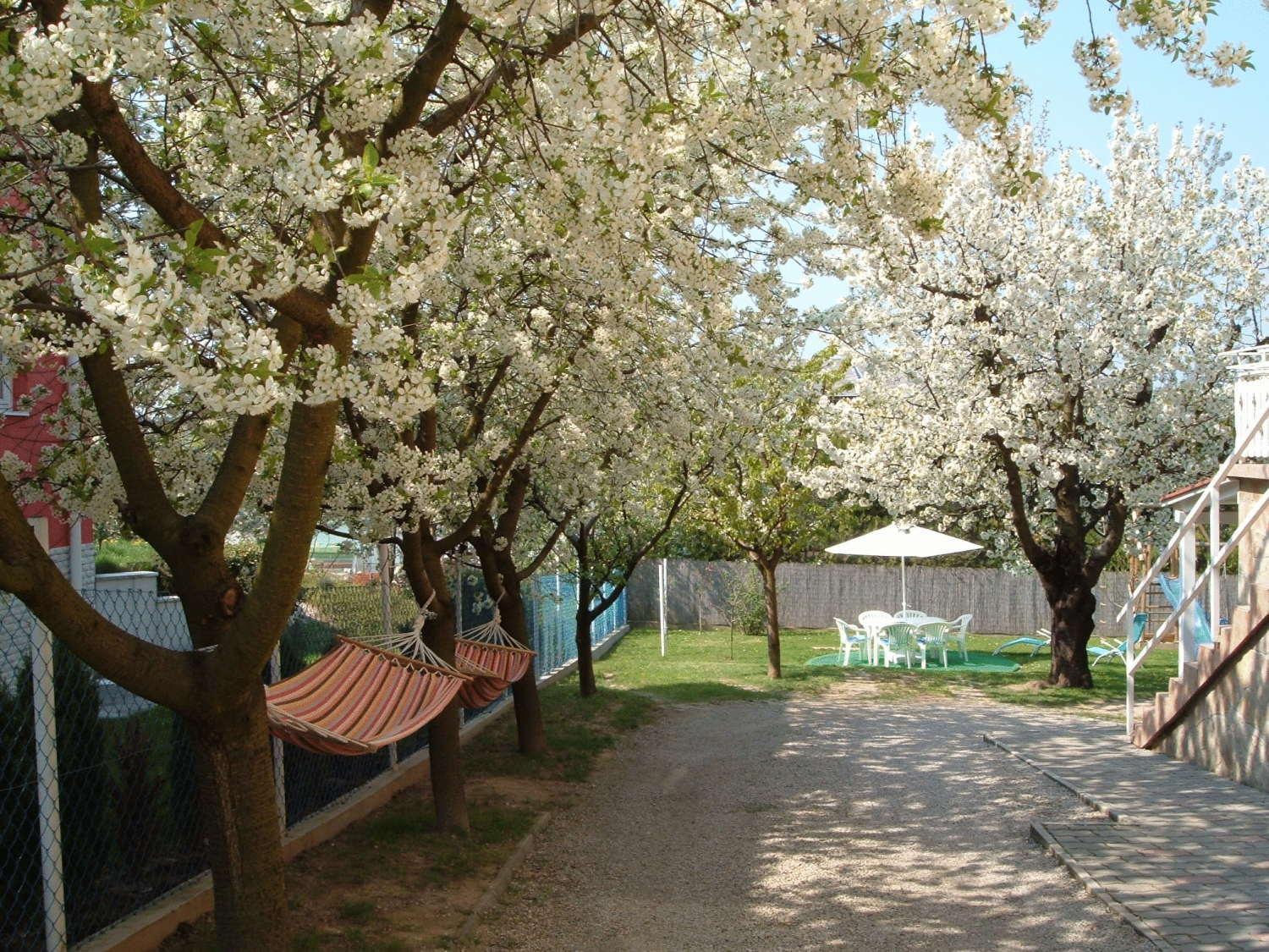 Apartman Heviz Holiday Экстерьер фото